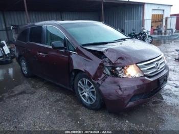  Salvage Honda Odyssey