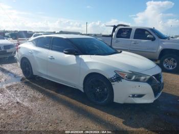  Salvage Nissan Maxima