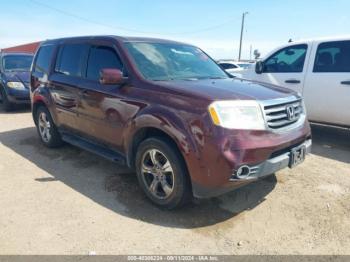  Salvage Honda Pilot