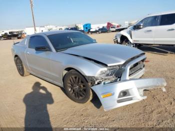  Salvage Ford Mustang