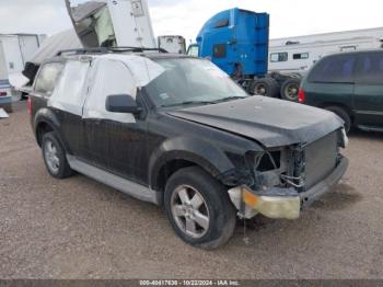  Salvage Ford Escape