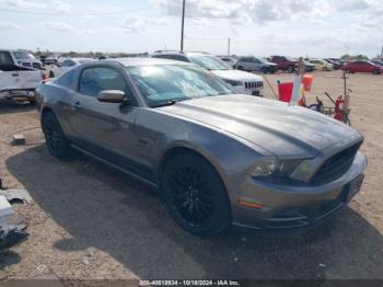  Salvage Ford Mustang