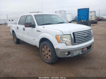  Salvage Ford F-150