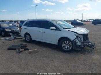  Salvage Honda Odyssey