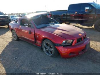  Salvage Ford Mustang