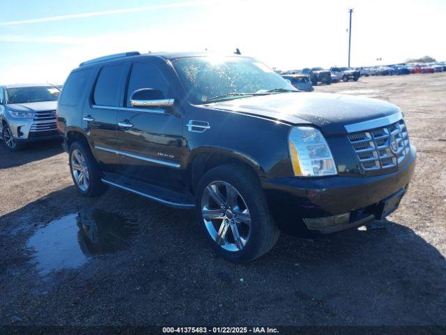  Salvage Cadillac Escalade