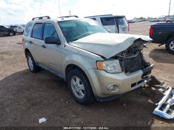  Salvage Ford Escape