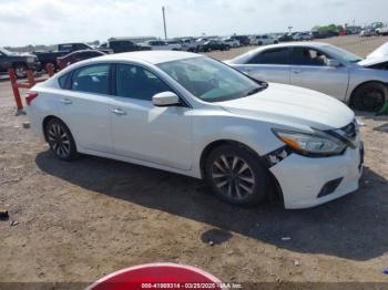  Salvage Nissan Altima