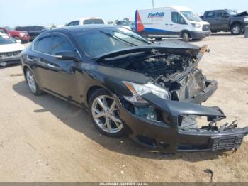  Salvage Nissan Maxima