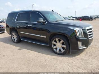  Salvage Cadillac Escalade