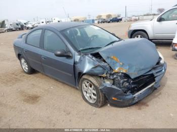  Salvage Dodge Neon