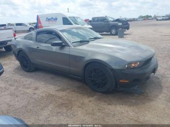  Salvage Ford Mustang