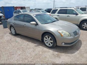  Salvage Nissan Maxima