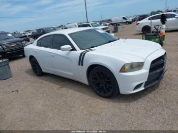 Salvage Dodge Charger