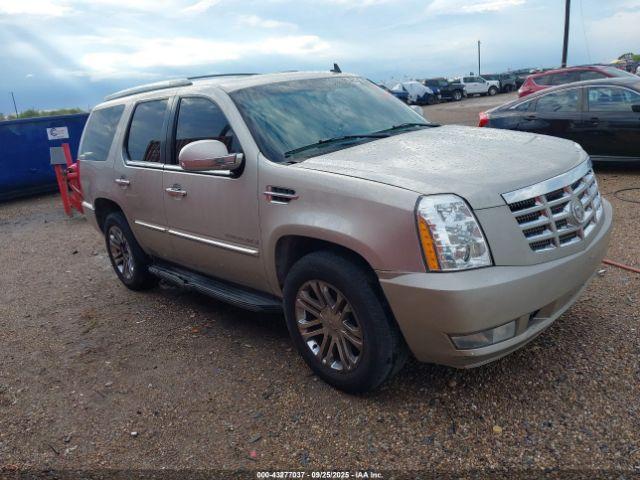  Salvage Cadillac Escalade