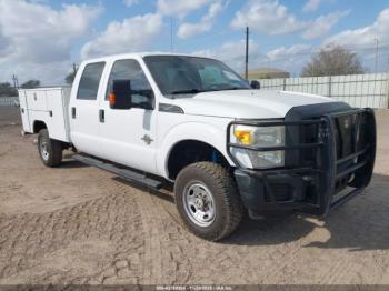  Salvage Ford F-250