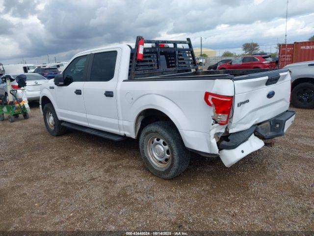 Ford F-150 Xl Image 13