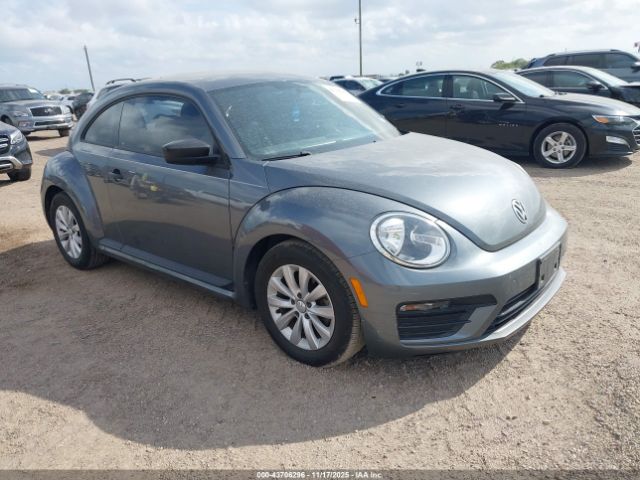 Volkswagen Beetle Image 1