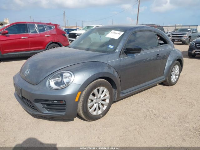 Volkswagen Beetle Image 12