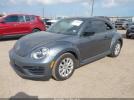 Volkswagen Beetle Image 12