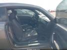 Volkswagen Beetle Image 4