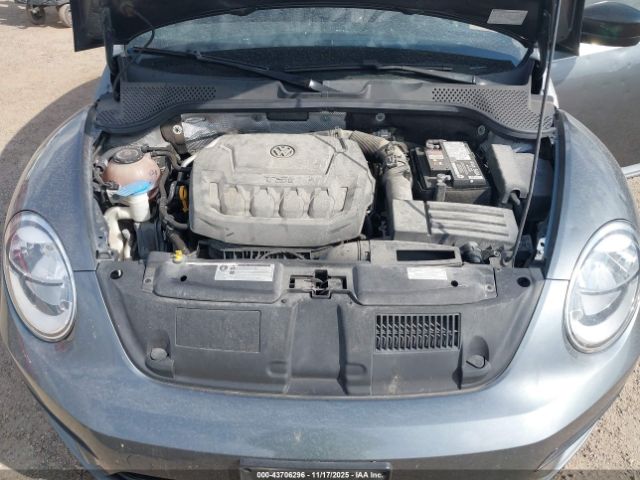 Volkswagen Beetle Image 6