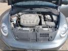 Volkswagen Beetle Image 6