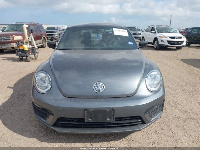 Volkswagen Beetle Image 14