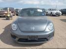 Volkswagen Beetle Image 14