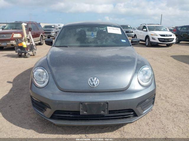 Volkswagen Beetle Image 14