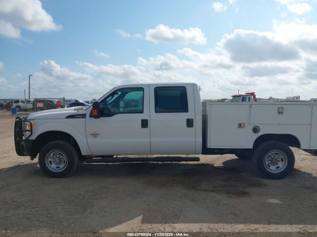 Ford F-250 Xl Image 12