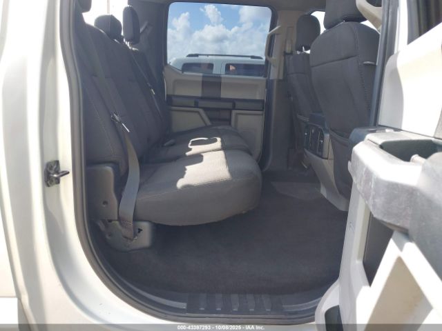 Ford F-150 Xl Image 3