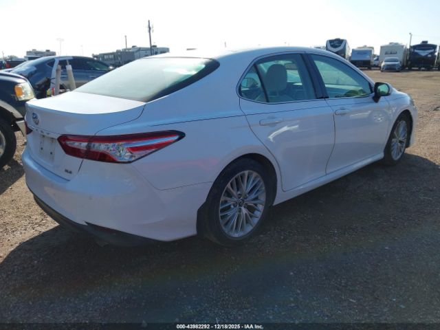 Toyota Camry Xle Image 6