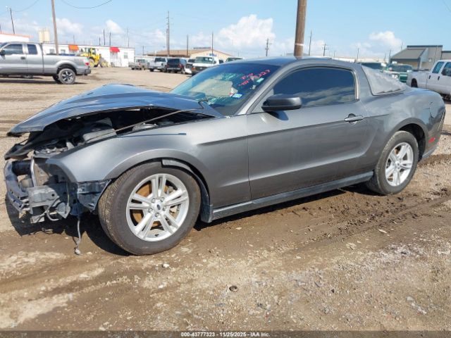 Ford Mustang V6 Image 2