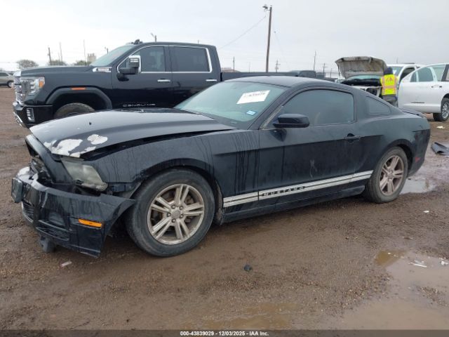 Ford Mustang V6 Image 14