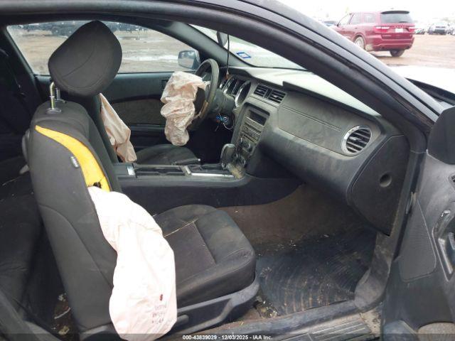 Ford Mustang V6 Image 6