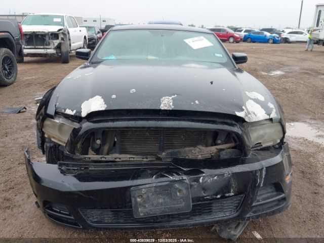 Ford Mustang V6 Image 13